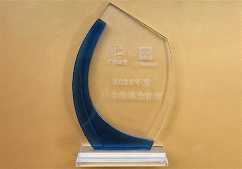 2024白金战略合作奖